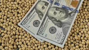 la-letra-chica-de-la-baja-de-retenciones-el-gobierno-de-javier-milei-incluirá-controles-de-arca-y-bcra-cada-15-días